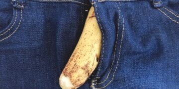 Blutpenis Fleischpenis